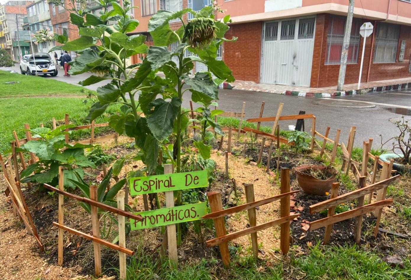 Huerta urbana en la localidad de Engativá/Bogota: Foto: comunidad.