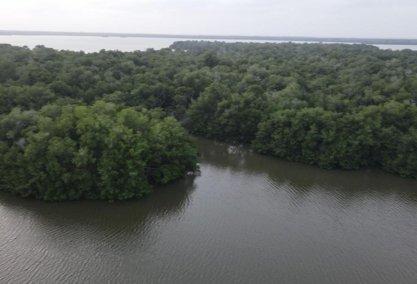 Bahía de Cispatá en Montería (Córdoba). Foto: cortesía Minambiente.