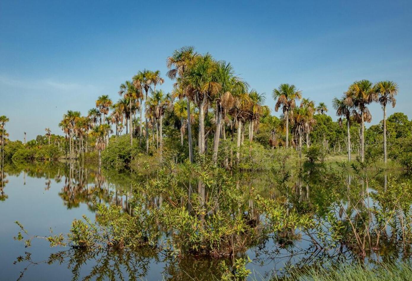 La cuenca del río Tillavá abarca cerca de 3.000 kilómetros cuadrados del municipio de Puerto Gaitán (Meta).