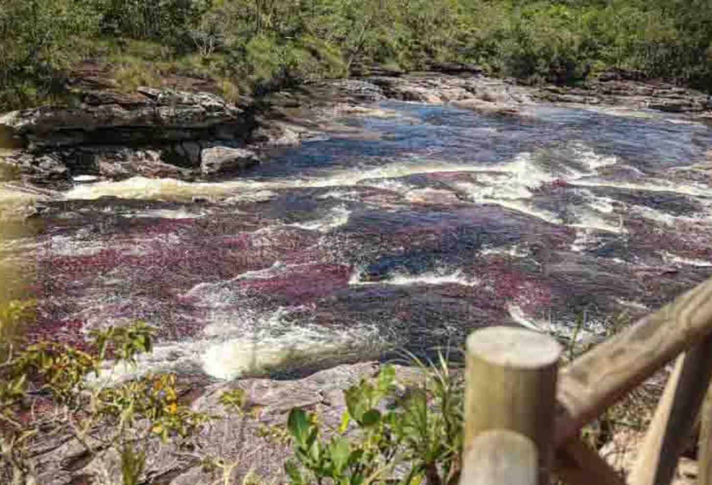 caño cristales en colombia