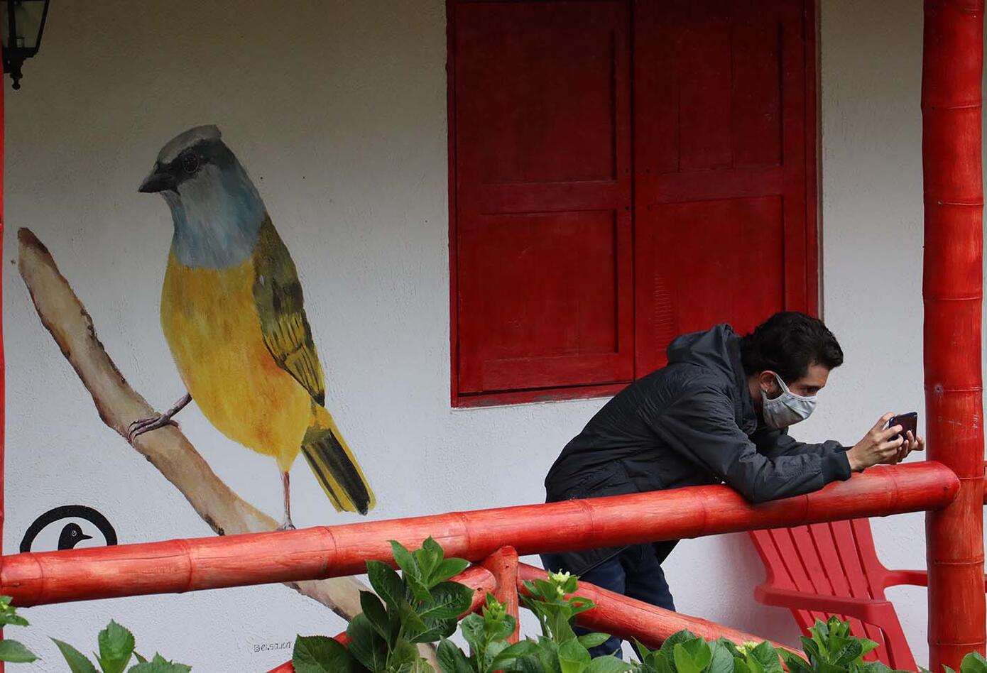 Caldas, el hogar de los colibríes Caldas, el hogar de los colibríes