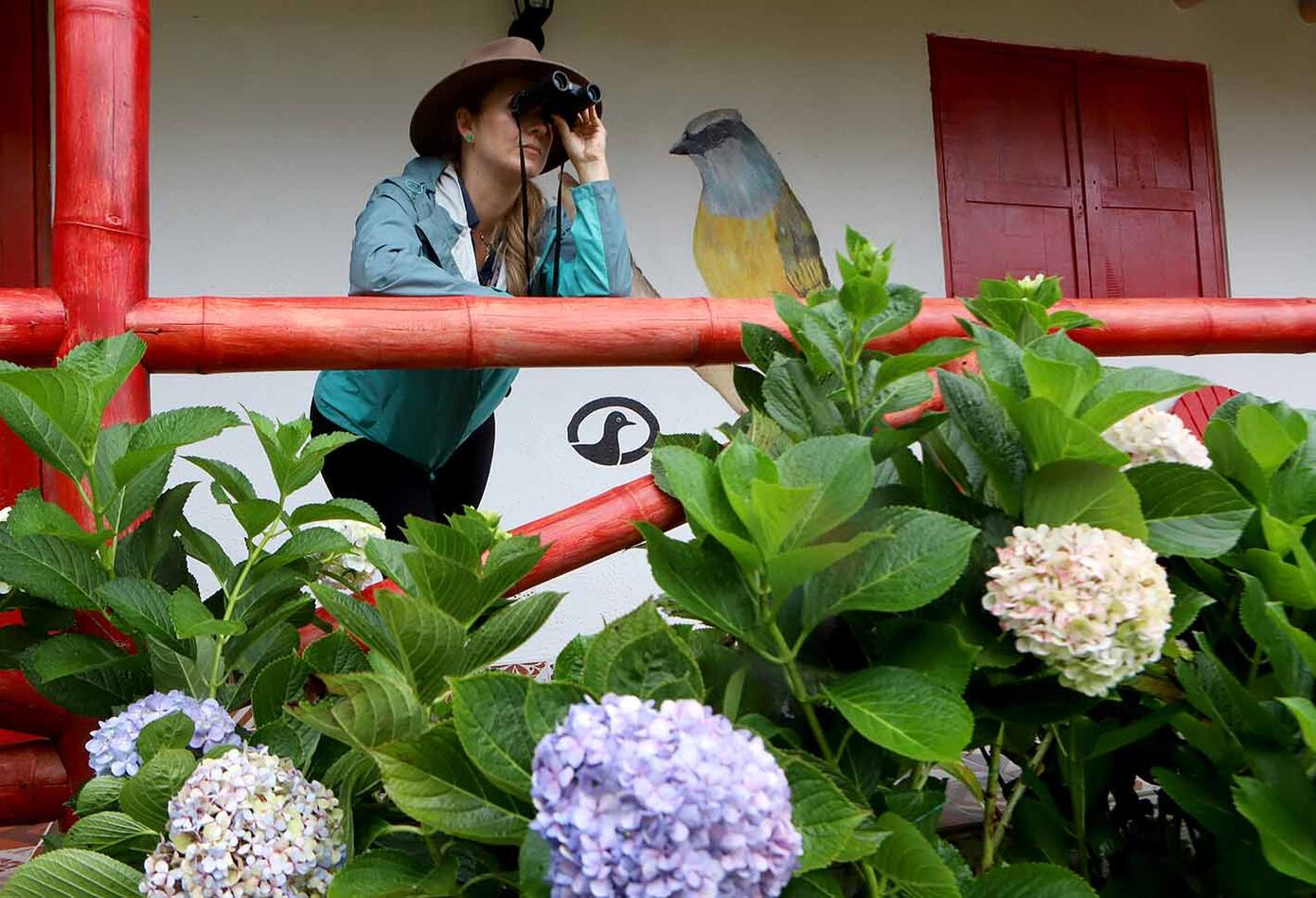 Caldas, el hogar de los colibríes Caldas, el hogar de los colibríes