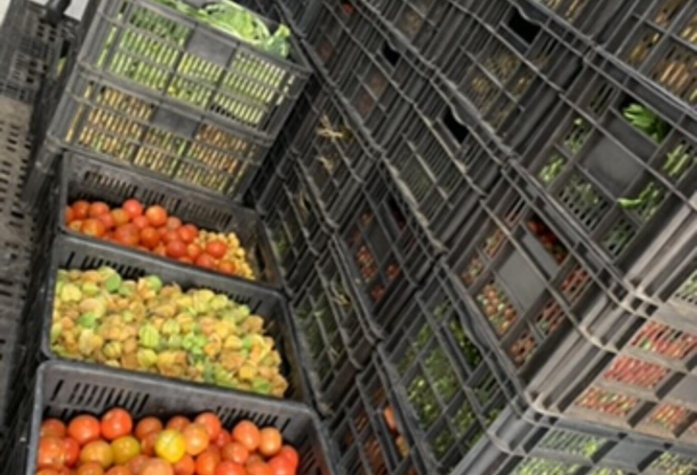 Banco de alimentos para fundaciones
