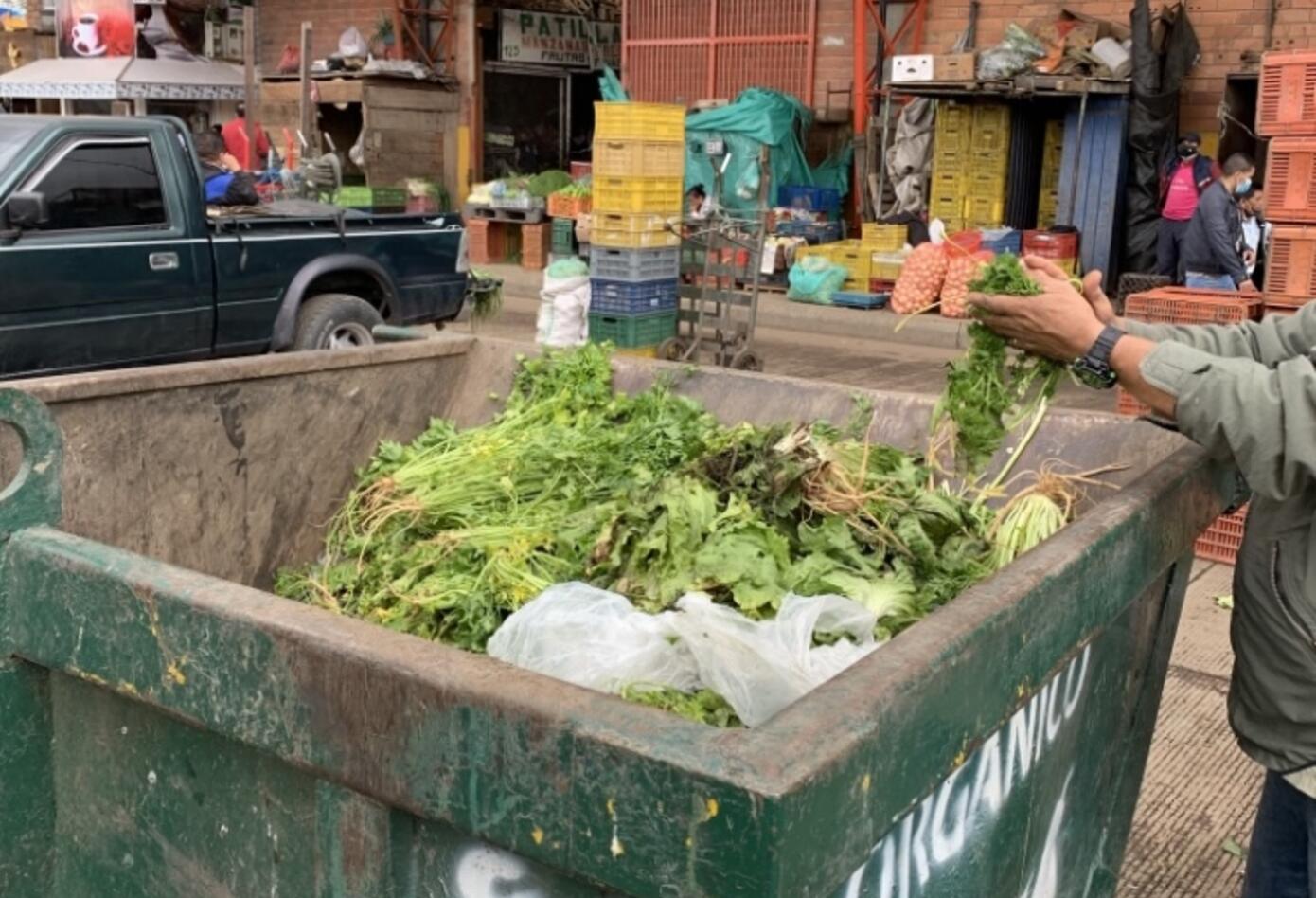 Legumbres en contenedores en buen estado
