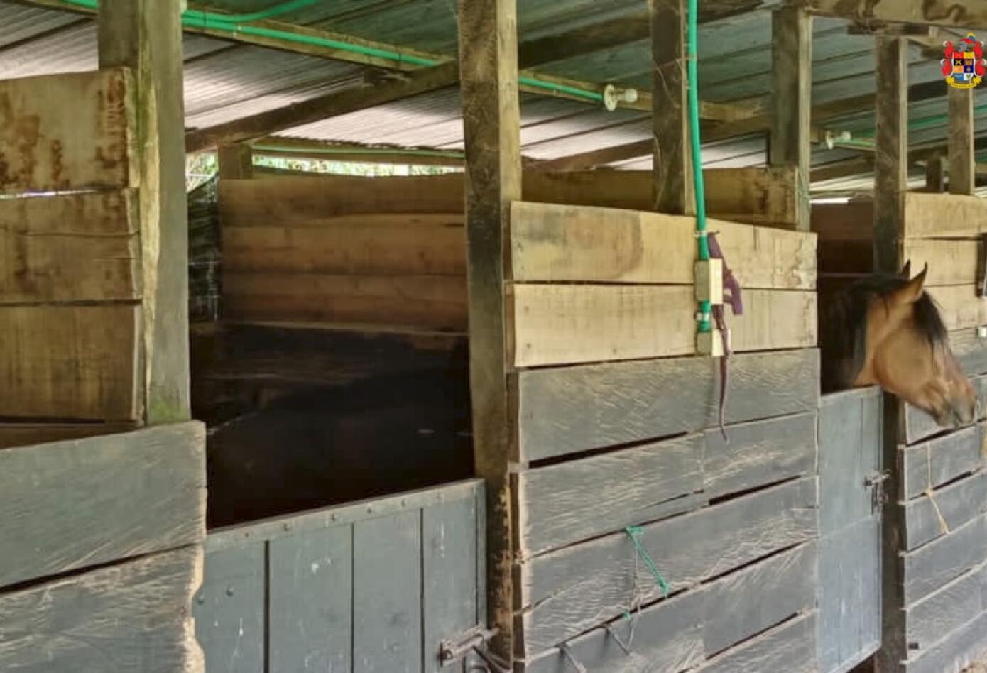 Bienes Embargados a Tunjuelo - Canoas