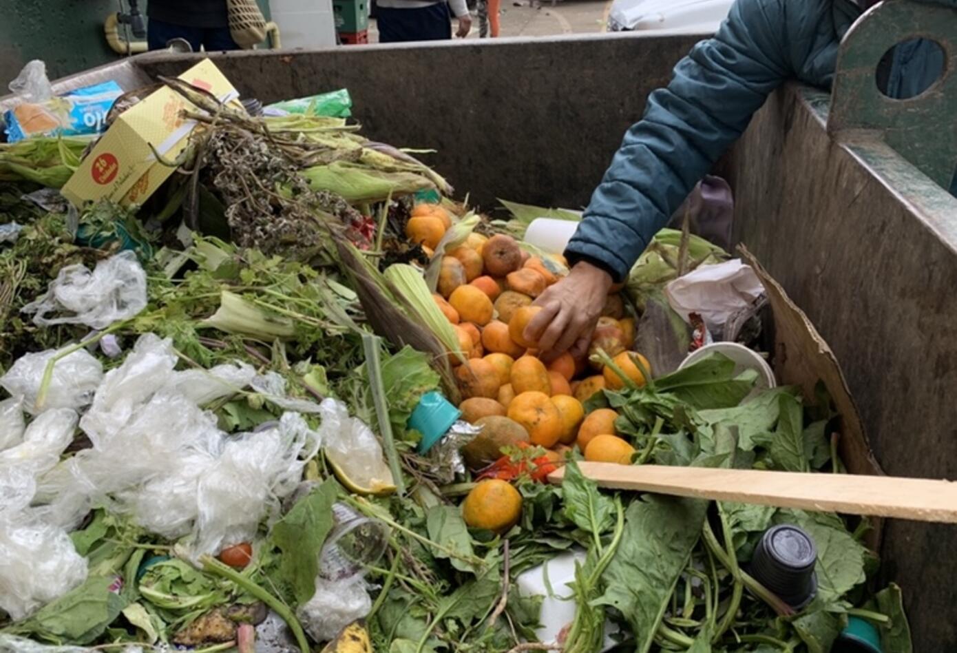 Alimentos entre un contenedor