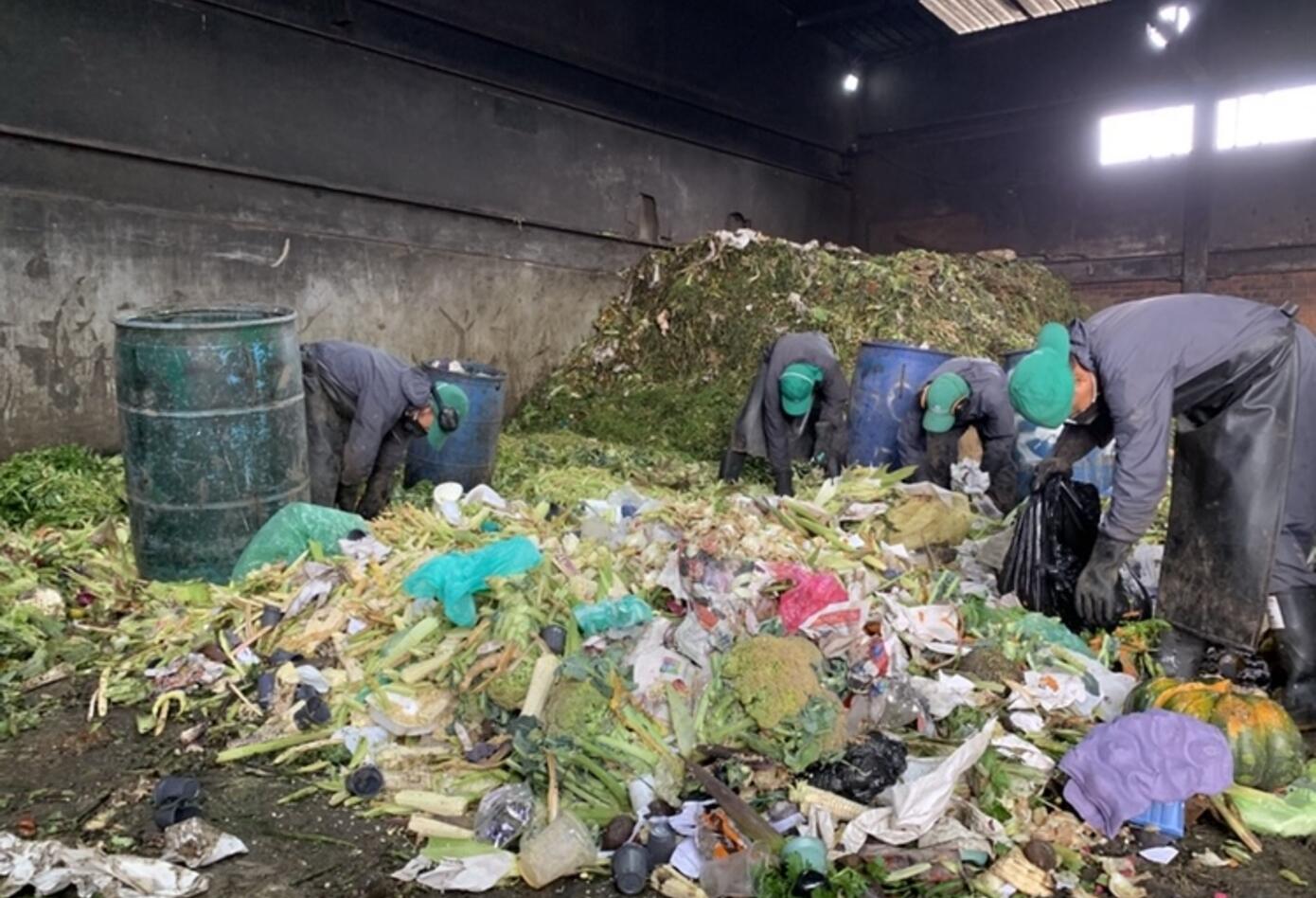 Empleados Corabastos separando lo orgánico