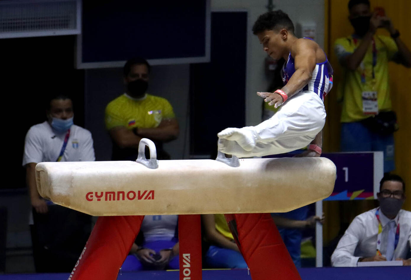 Gimnasia artística por equipos