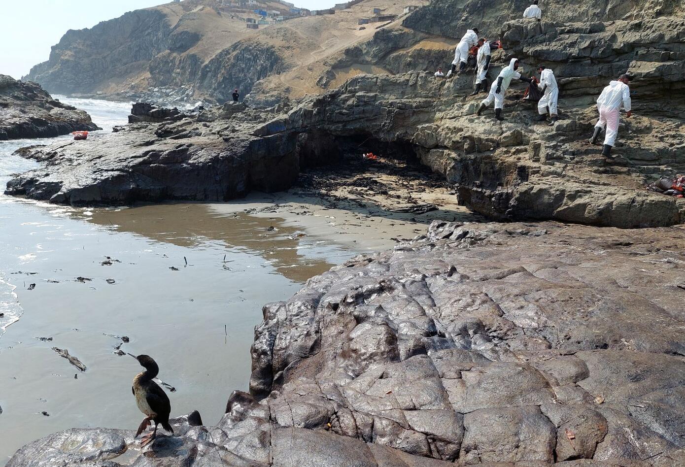 Tragedia ambiental en Perú por derrame de petróleo.