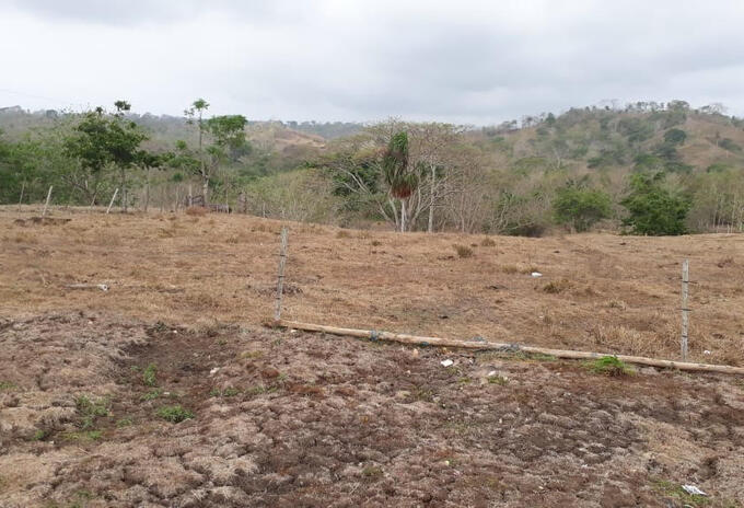 Sequía Urabá