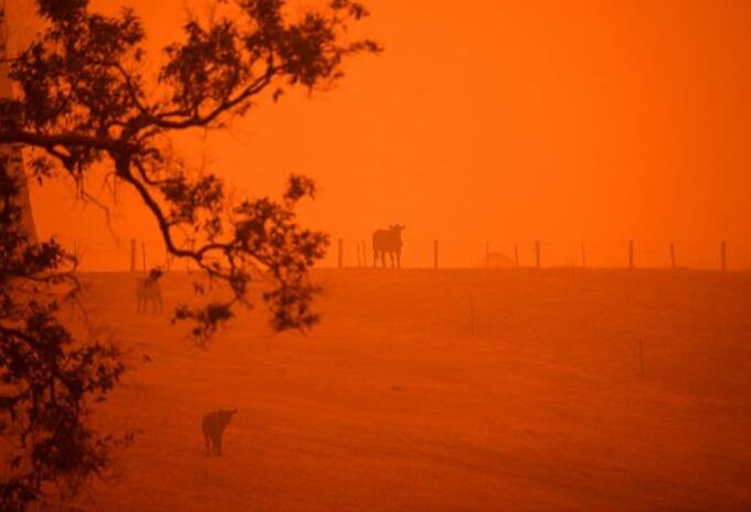 incendios australia