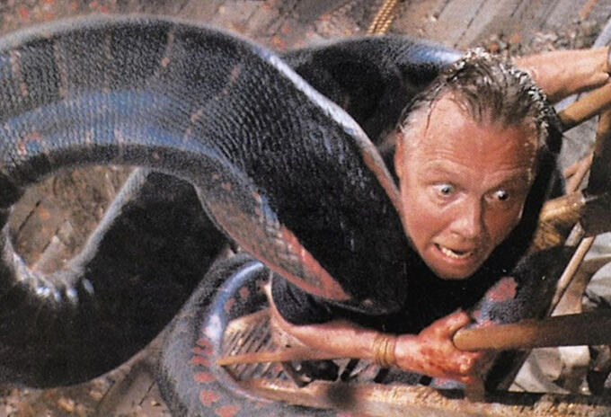 Anaconda Anaconda