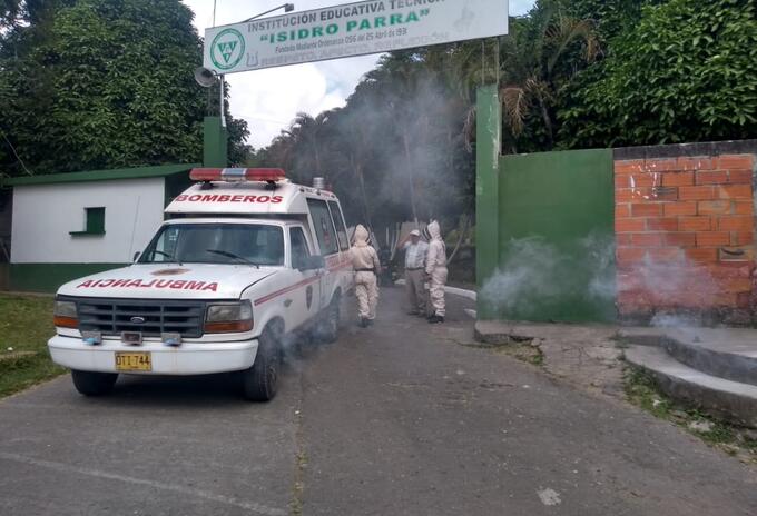 Emergencia por abejas en Líbano, Tolima.