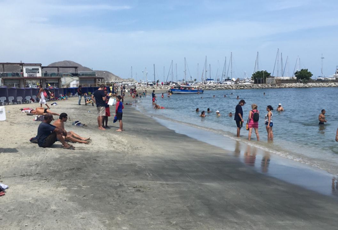 Presencia de medusas en balnearios