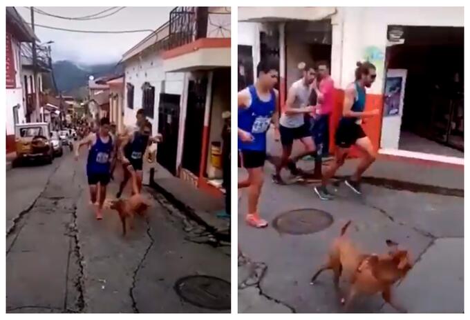 Atleta Jaime Alejandro