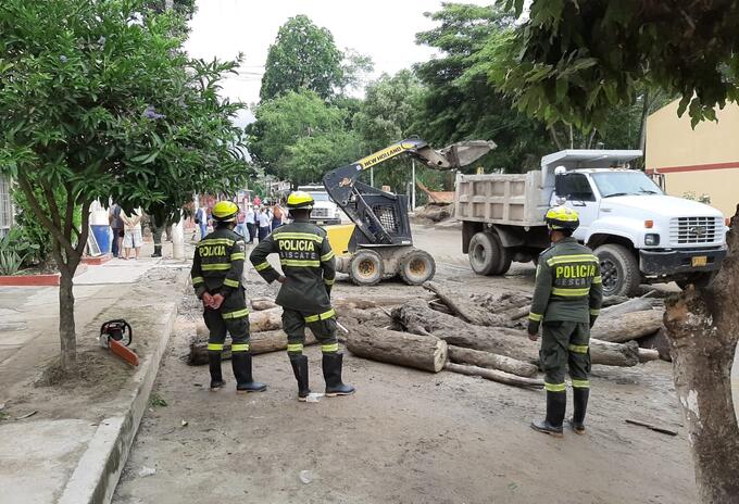 Un represamiento por la caída de un árbol de 20 toneladas fue la causa de la avalancha.