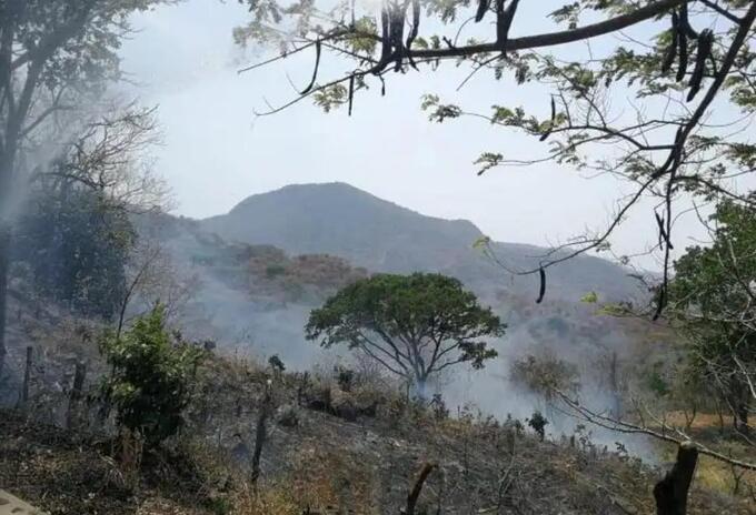 Incendios en zonas montañosas de La Guajira