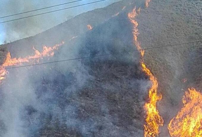 Incendios forestales