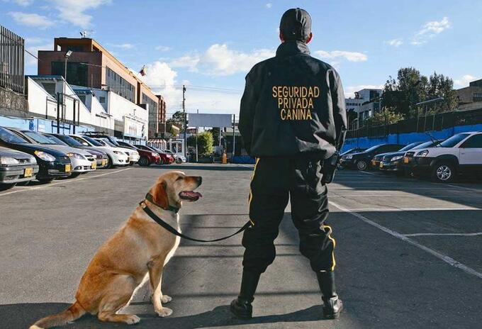 Perros Seguridad