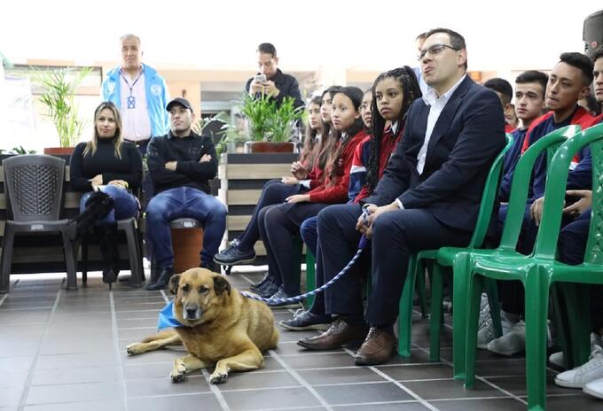 Protección Animal