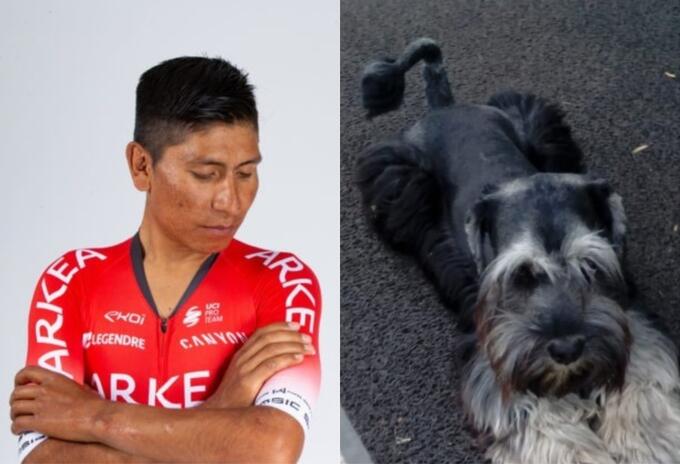 Nairo Quintana y Rocky Nairo Quintana y Rocky