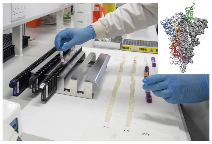 Coronavirus