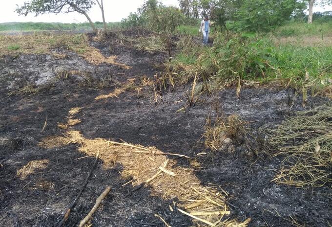 El incendio inició el pasado sábado.