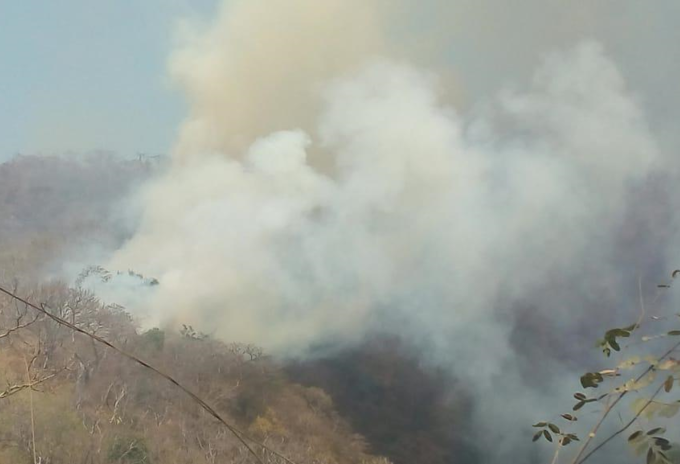 Incendio forestal Incendio forestal