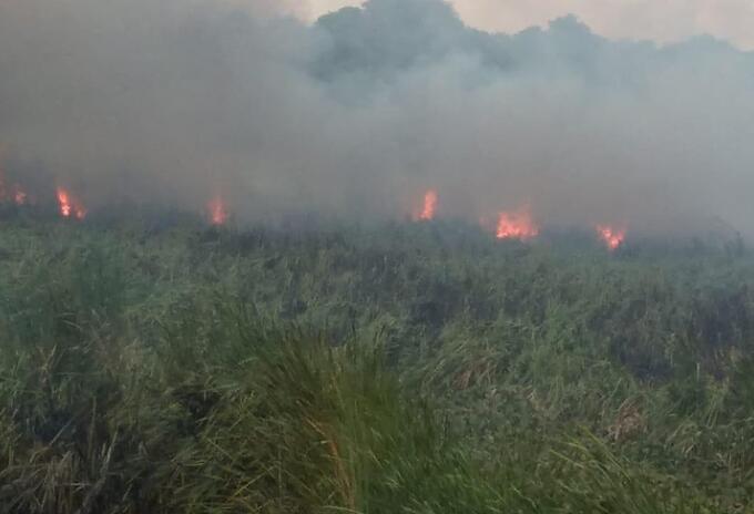 Autoridades trabajan para evitar más incendios forestales