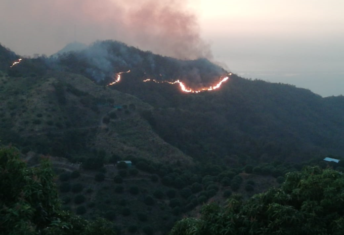 Incendio forestal de gran magnitud