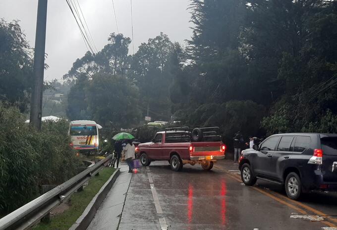 Caída de un árbol en La Calera