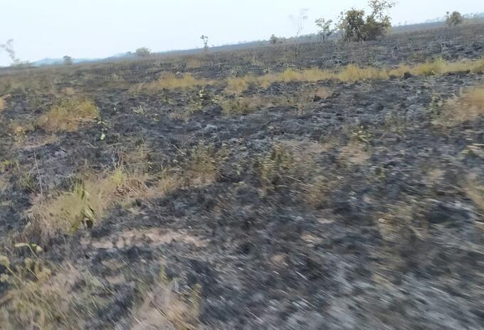incendios forestales