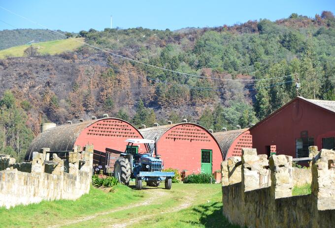 Finca Sanclemente