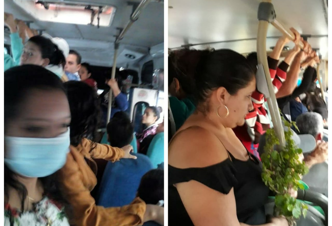 Transporte Público Ibagué