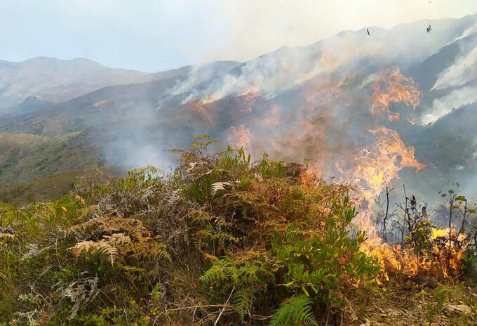 Arde el páramo Sabana Rubia en la Serranía del perijá