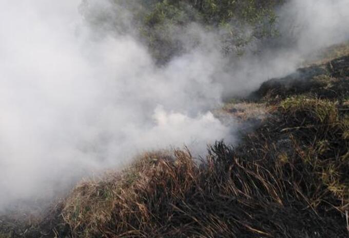 Incendio Forestal