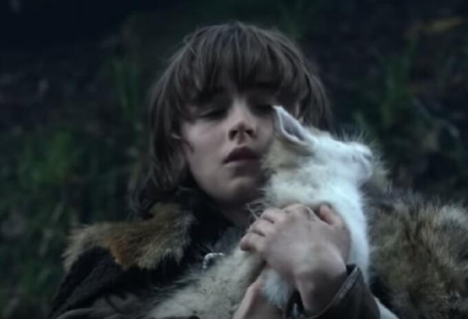 Lobo huargo bebé de Bran Stark (Game of Thrones)