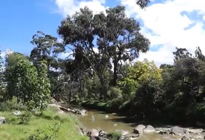Parque Cantarana