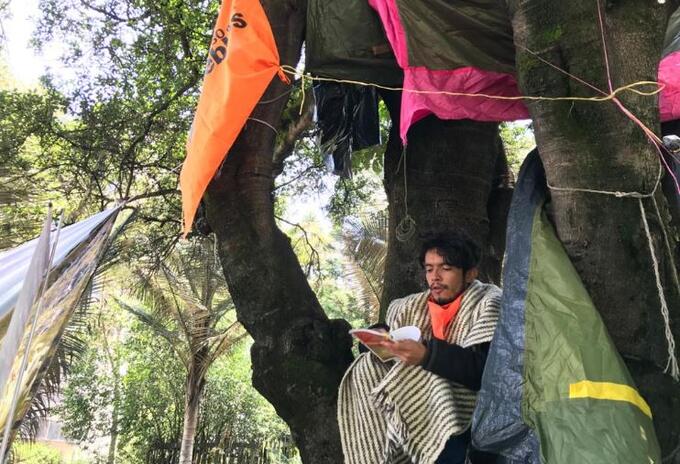 Joven en árbol
