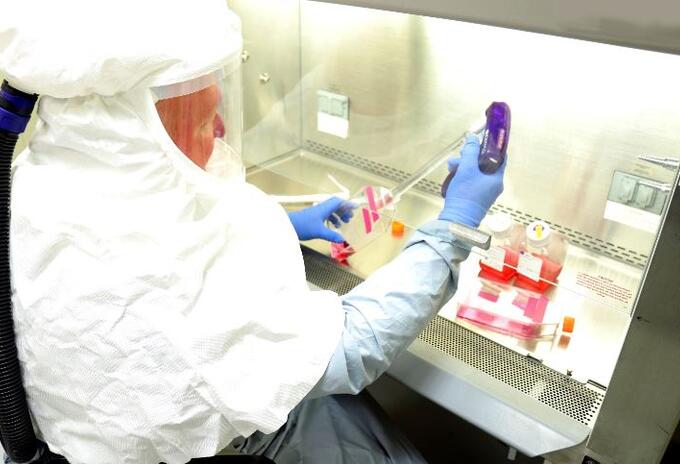 Referencia coronavirus.