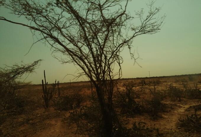 La falta de agua en La Guajira es otro factor para la desnutrición