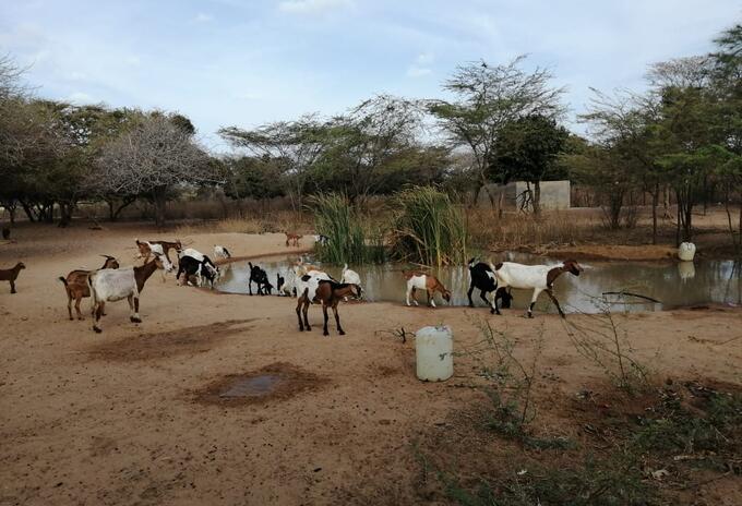 La Guajira sin agua