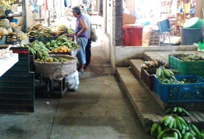Productores campo
