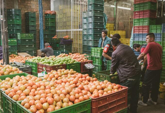 Alimentos