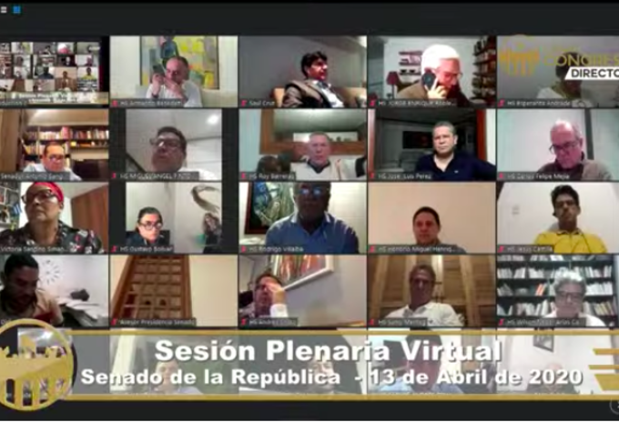 Sesión virtual Congreso