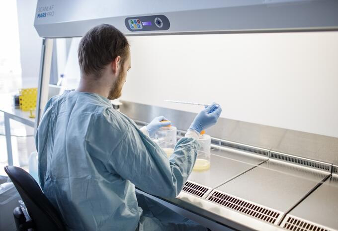 Ensayo de vacuna contra coronavirus