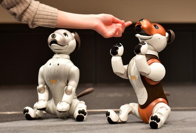Perro robot