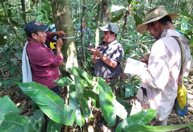 Monitoreo en la Amazonia colombiana.
