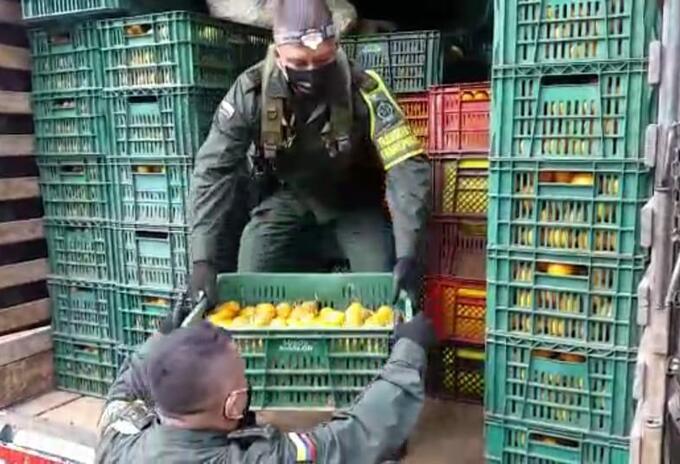 DROGA Y FRUTA