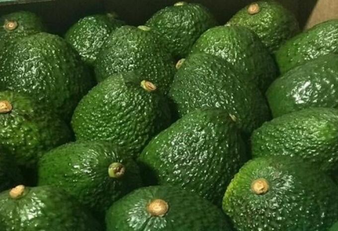 Aguacate hass.